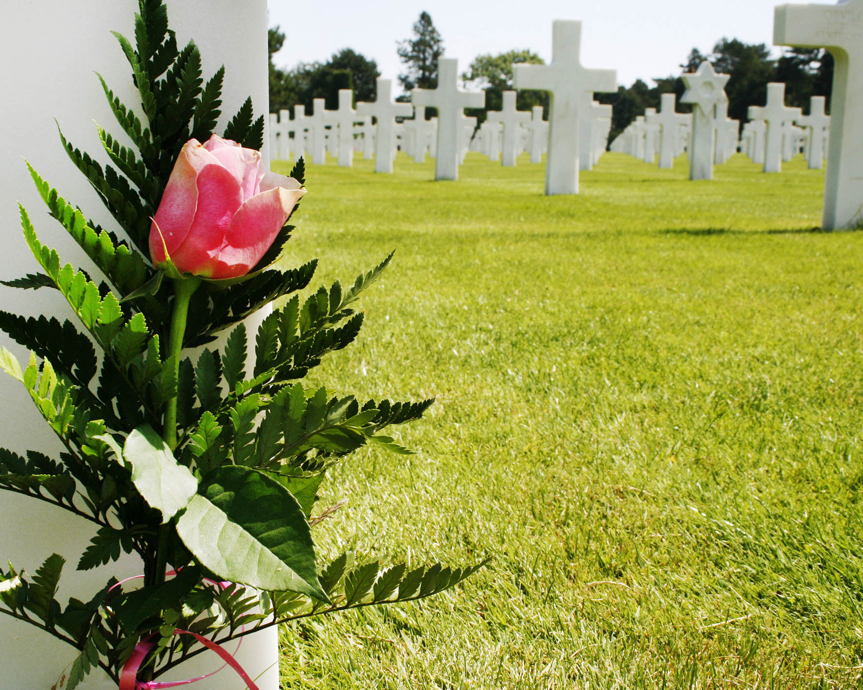 stockvault-flower-at-grave133145