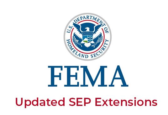 FEMA LOGO